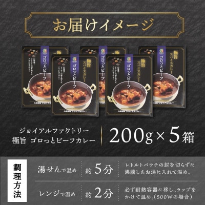 ジョイアルファクトリー 極旨スパイスカレー ゴロっとビーフ 200g×5個 山梨県 笛吹市