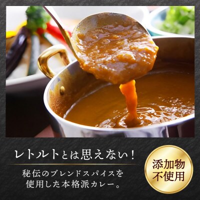 【無地熨斗】ジョイアルファクトリー 極旨スパイスカレー ゴロっとビーフ 200g×3 山梨県 笛吹市