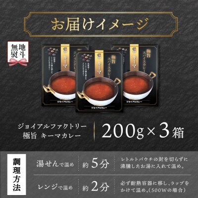 【無地熨斗】ジョイアルファクトリー 極旨スパイスカレー キーマ 200g×3個 山梨県 笛吹市
