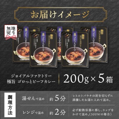 【無地熨斗】ジョイアルファクトリー 極旨スパイスカレー ゴロっとビーフ 200g×5 山梨県 笛吹市