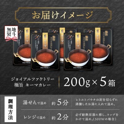 【無地熨斗】ジョイアルファクトリー 極旨スパイスカレー キーマ 200g×5個 山梨県 笛吹市