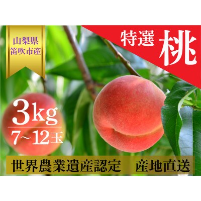 　桃 3kg (7～12玉) 山梨県笛吹市　　　　　　　【令和6年産 先行受付】 数量限定 季節限定