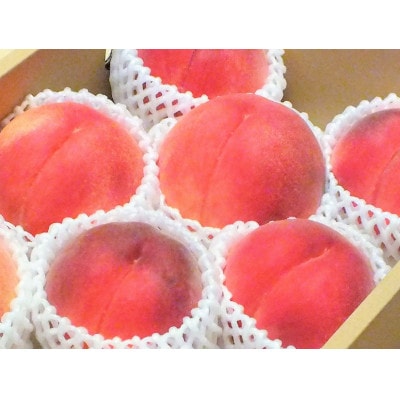 　桃 3kg (7～12玉) 山梨県笛吹市　　　　　　　【令和6年産 先行受付】 数量限定 季節限定