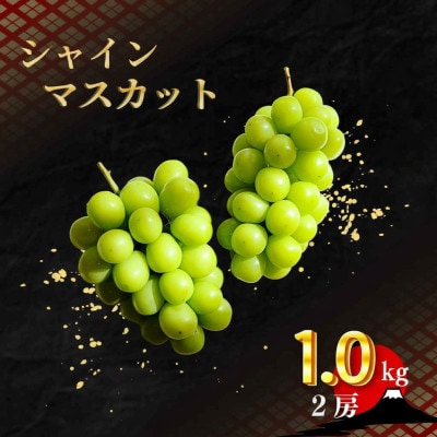 数量限定 プレミアムシャインマスカット 1.0kg(2房) 山梨県笛吹市