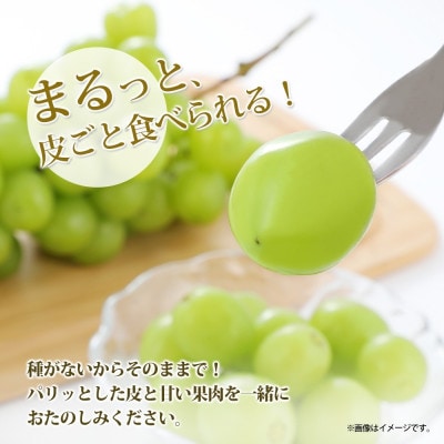 【2025年発送】大房 シャインマスカット 秀品  匠の葡萄 1房 約500g 山梨県 笛吹