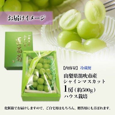 【2025年発送】大房 シャインマスカット 秀品  匠の葡萄 1房 約500g 山梨県 笛吹