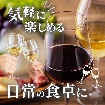 【無地熨斗】白ワイン Liaison(リエゾン)甲州 720ml×1 日川中央葡萄酒 山梨県笛吹市
