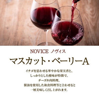 【無地熨斗】赤ワイン NOVICE マスカット・ベーリーA 1800ml 日川中央葡萄酒 笛吹市