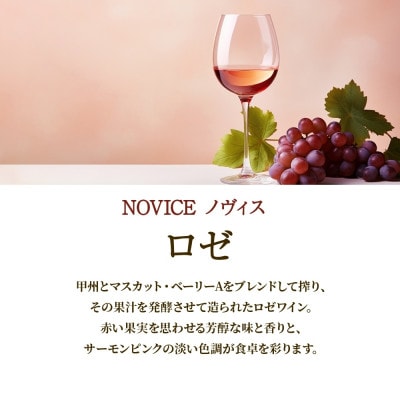 【無地熨斗】ロゼワイン NOVICE ロゼ 720ml フルボトル 日川中央葡萄酒 山梨県笛吹市