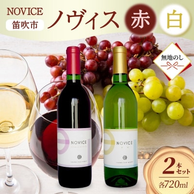 【無地熨斗】ワイン NOVICE 赤&白 飲み比べ 各1本 セット 日川中央葡萄酒 山梨県笛吹市