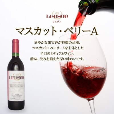 【無地熨斗】赤ワイン Liaison 2種 飲み比べ 各1本セット 日川中央葡萄酒 山梨県笛吹市