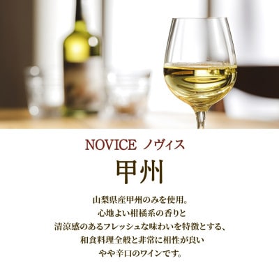 白ワイン NOVICE(ノヴィス)甲州 1800ml×1本 一升瓶 日川中央葡萄酒 山梨県笛吹市