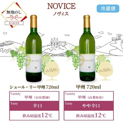 【無地熨斗】白ワイン NOVICE(ノヴィス)白 甲州 2種 セット 日川中央葡萄酒 山梨県笛吹市
