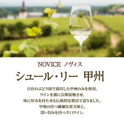 【無地熨斗】白ワイン NOVICE シュール・リー 甲州 720ml 日川中央葡萄酒 山梨県笛吹市