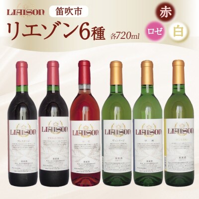 Liaisonリエゾン 6種6本セット 720ml 各1本 日川中央葡萄酒 山梨県 笛吹市