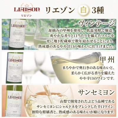 Liaisonリエゾン 6種6本セット 720ml 各1本 日川中央葡萄酒 山梨県 笛吹市