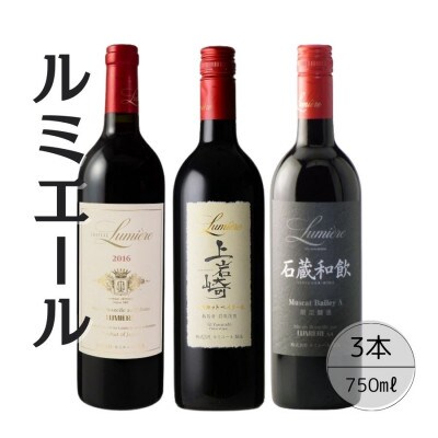 ルミエールおすすめ赤ワイン3本セット 167-128