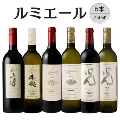 ルミエール　おすすめ赤白ワイン6本セット 167-131