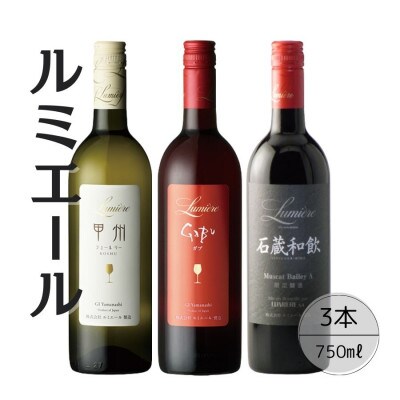 ルミエールおすすめ赤白ワイン3本セット 167-127
