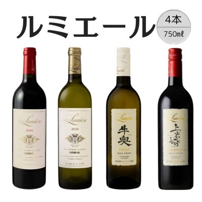 ルミエール　おすすめ赤白ワイン4本セット【6】167-139