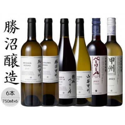 勝沼醸造おすすめ6本セット 167-035