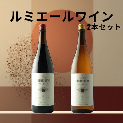 ルミエール　プチルミエール赤白一升瓶　計2本セット 167-189