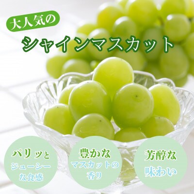葡萄の一大産地!笛吹市産シャインマスカット　1kg以上(計2房)