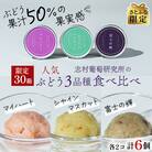 【限定30箱】山梨ぶどうまるかじり!果汁50%!アイス3品種食べ比べ 志村葡萄研究所【さとふる限定】