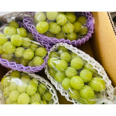 【2026年度】生産者直送!山梨県笛吹市産地!シャインマスカット 約2kg以上(3～4房)