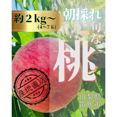 生産者直送!山梨県笛吹市産地!桃　約2kg(4～7玉)