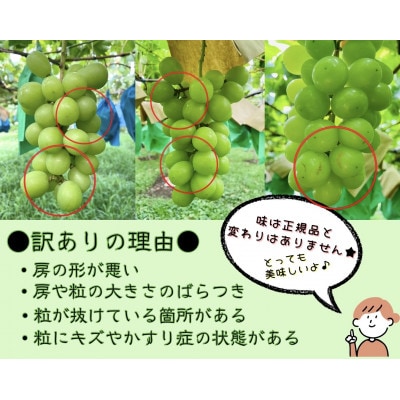 【2026年発送】山梨県笛吹市産!ちょっと訳ありシャインマスカット 約1kg以上(2～3房)