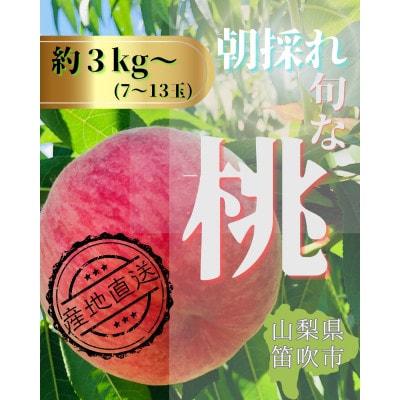 生産者直送!山梨県笛吹市産地!桃　約3kg(7～13玉)