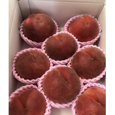 生産者直送!山梨県笛吹市産地!桃　約3kg(7～13玉)