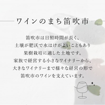 笛吹スパークリングワイン3本セット 157-027 山梨ワイン