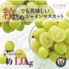 <26年発送先行予約>SDGs 訳あり 粒シャインマスカット約1.0kg　山梨 笛吹市157-044
