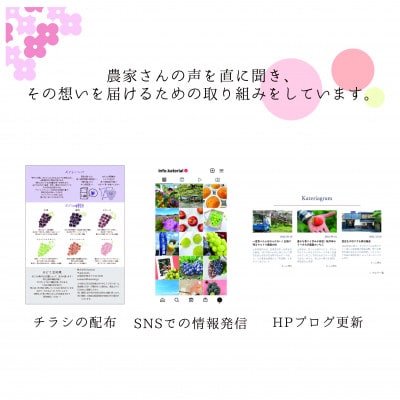 <26年発送先行予約>SDGs 訳あり 粒シャインマスカット約1.0kg　山梨 笛吹市157-044