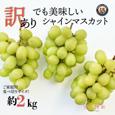 <26年発送先行予約>SDGs 訳あり シャインマスカット 約2.0kg　山梨 笛吹市　ご家庭用