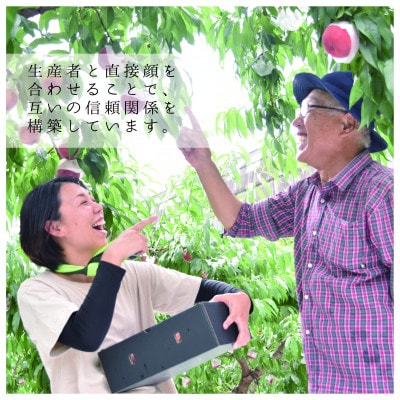 <26年発送先行予約>【コンパクト】笛吹市産シャインマスカット1房　157-041