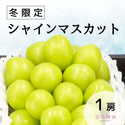 <25年発送先行予約>冬季限定!シャインマスカット1房 157-023