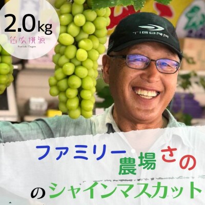 <26年発送先行予約>【ファミリー農場さの】もぎたてシャインマスカット2kg 157-021