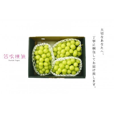 <26年発送先行予約>【ファミリー農場さの】もぎたてシャインマスカット2kg 157-021