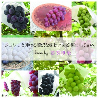 <26年発送先行予約>【ファミリー農場さの】もぎたてシャインマスカット2kg 157-021