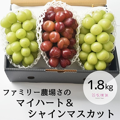26年発送【ファミリー農場さの】マイハート&シャインマスカット詰合せ1.8kg相当 157-020