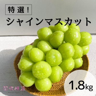 <26年発送先行予約> 贅沢!特選シャインマスカット1.8kg  (笛吹桃源)157-008