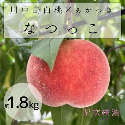 もぎたて!川中島白桃系なつっこ 約1.8kg 157-028