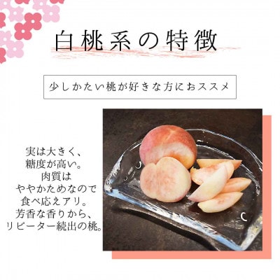 もぎたて!紅くにか 約1.8kg 157-031