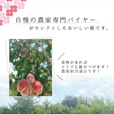 もぎたて!紅くにか 約1.8kg 157-031