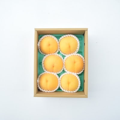 サン黄美娘(きみこ)約1.8kg 157-042