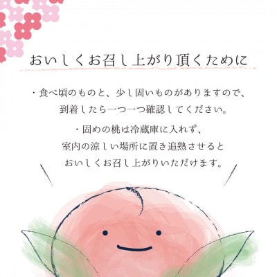 【栽培期間中農薬を減らした特別栽培】笛吹市産白桃 約1.8kg 157-035