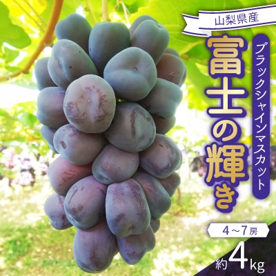 2026年発送　富士の輝き　4～7房(計約4kg)